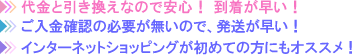 代金と引き換えなので安心!到着が早い!初めての方にもオススメ!