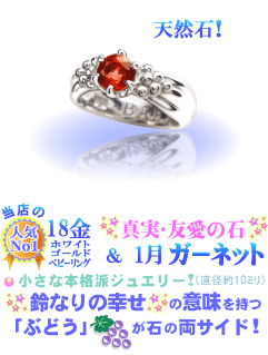 1月の誕生石ガーネットのベビーリング(K18WGホワイトゴールド)