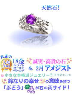 2���̒a���΃A���W�X�g�̃x�r�[�����O(K18WG�z���C�g�S�[���h)