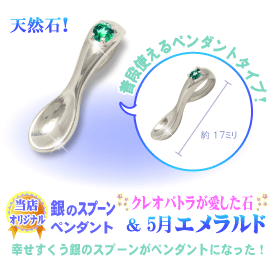 5���̒a���΃G�������h�̋�̃X�v�[��,�V���o�[�X�v�[���y���_���g